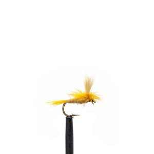 Light Cahill Parachute