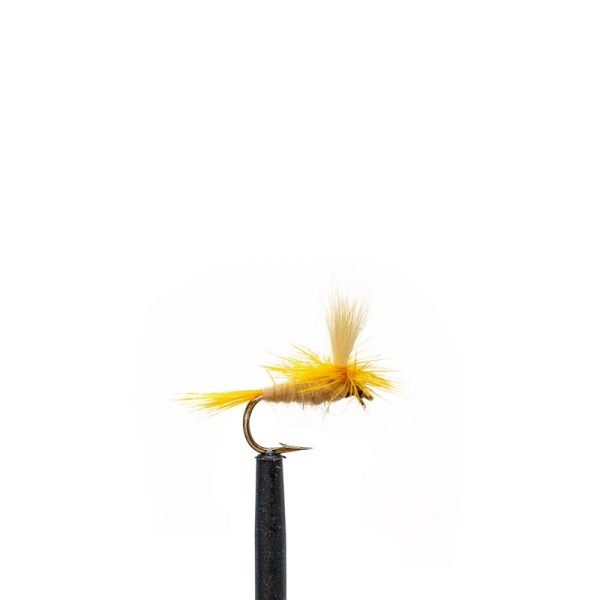 Light Cahill Parachute