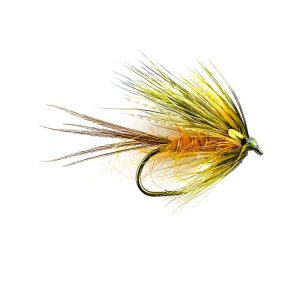 LIGHT OLIVE (CORRIB)