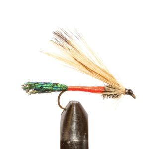 Light Sprucefly