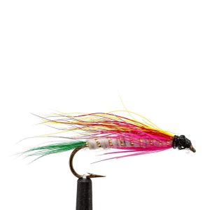 Little Rainbow Trout