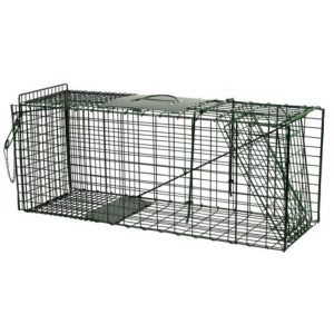 Live Catch | Cat Cage Trap