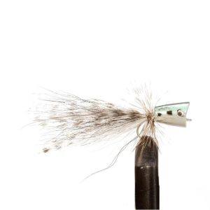 Mackeral Mini