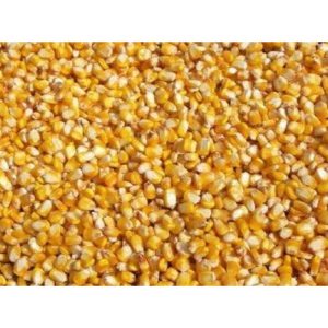 Maize (Dry)