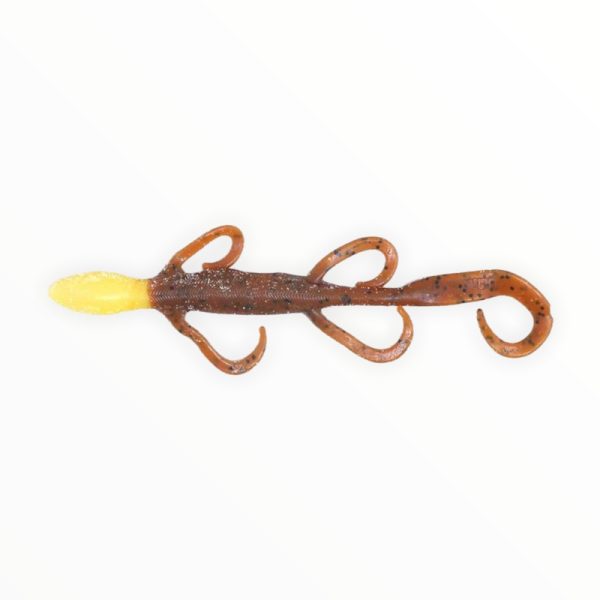 Manns HardNose Lizard