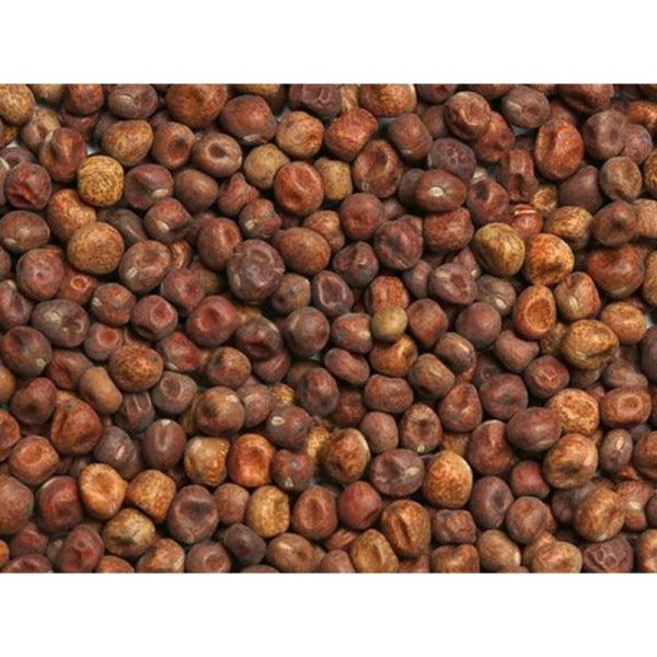 Maples (Dry)