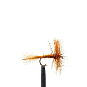 March Brown