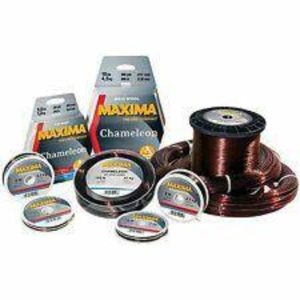 Maxima | Chameleon | 600m