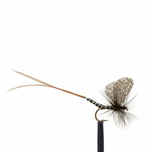 Mayfly – Black