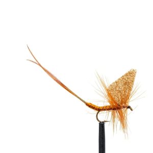 Mayfly – Brown