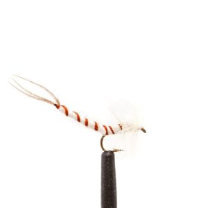 Mayfly – Cream