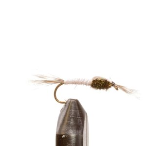 Mosquito Larva