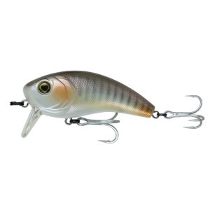 Movement 80WK (SW) – Live Croaker