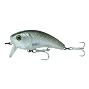 Movement 80WK (SW) – Live Mullet