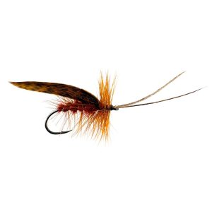 MURROUGH – BROWN