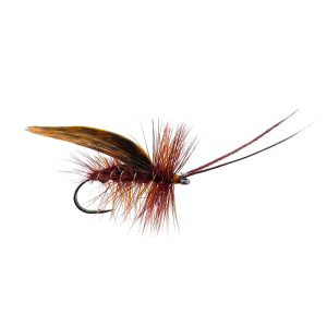 MURROUGH – CLARET