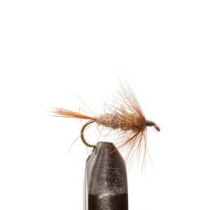Muskrat Nymph