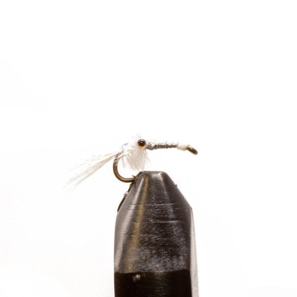 Mysis Shrimp