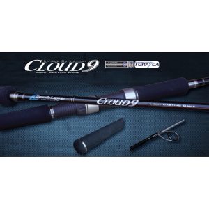 Oceans Legacy Cloud 9 Spin Rod