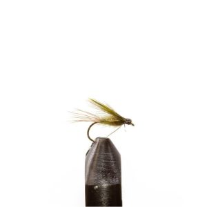 Olive Emerger