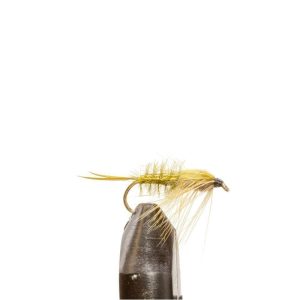 Olive Helgramite