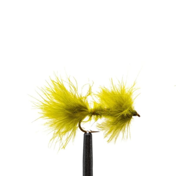 Olive Leech