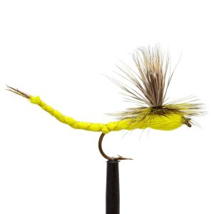 Olive Para Hex Yellow