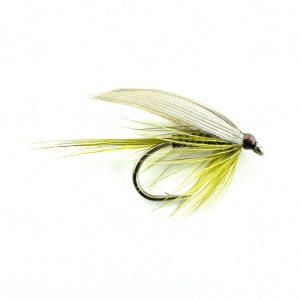 OLIVE QUILL