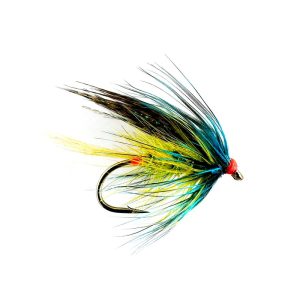 OLIVE TELEPHONE FLY
