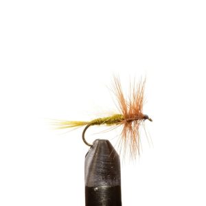 Olive Trude