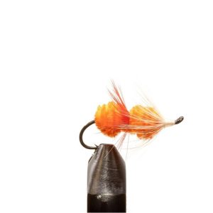 Orange Babine Special