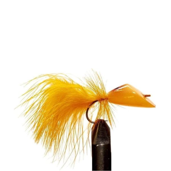 Orange Diver