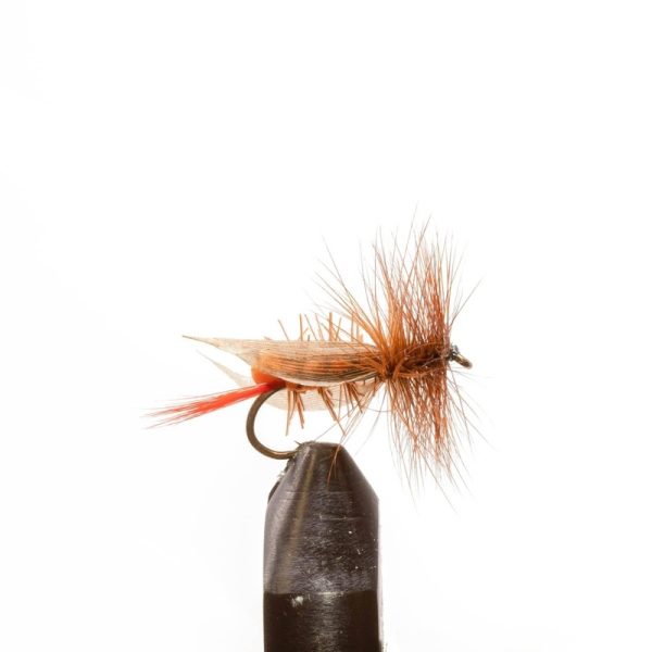 Orange Foam Hopper