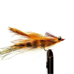 Orange/ Kreelex DNA Clouser