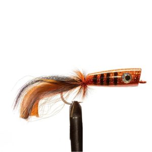 Orange Showoff