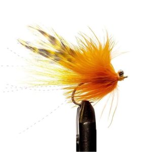 Orange/ Yellow Whistler