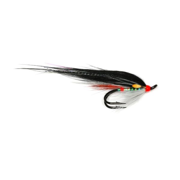 OYSTERCATCHER – DOUBLE