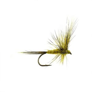 PALE OLIVE WULFF