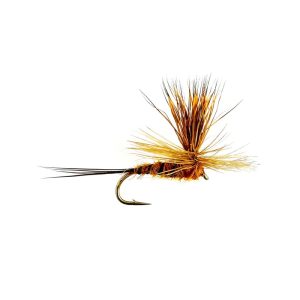 PARA BROWN OLIVE