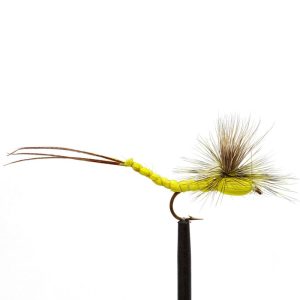 Para Hex Yellow