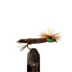 Para Hopper Green