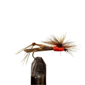 Para Hopper Red