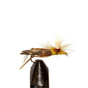 Para Hopper Yellow
