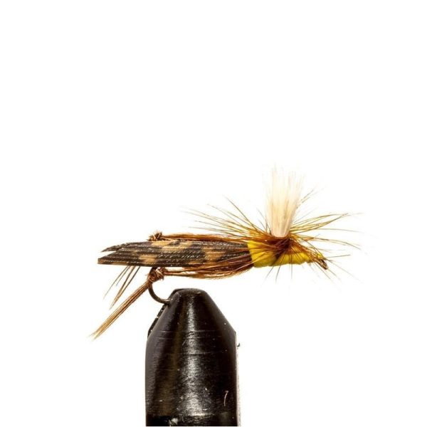 Para Hopper Yellow