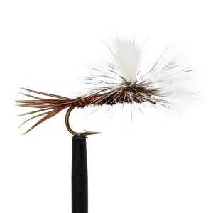 Para Pheasant Tail