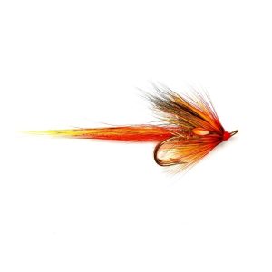 PARK SHRIMP – DOUBLE