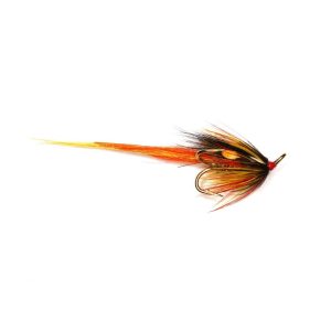 PARK SHRIMP – TREBLE