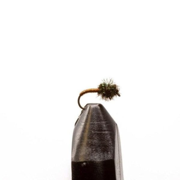 Peacock Brassie