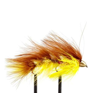 Peanut Envy – Brown/Yellow