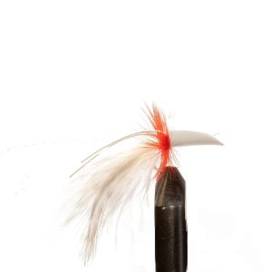Pearl Fin Diver